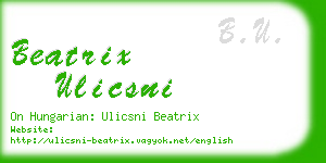 beatrix ulicsni business card